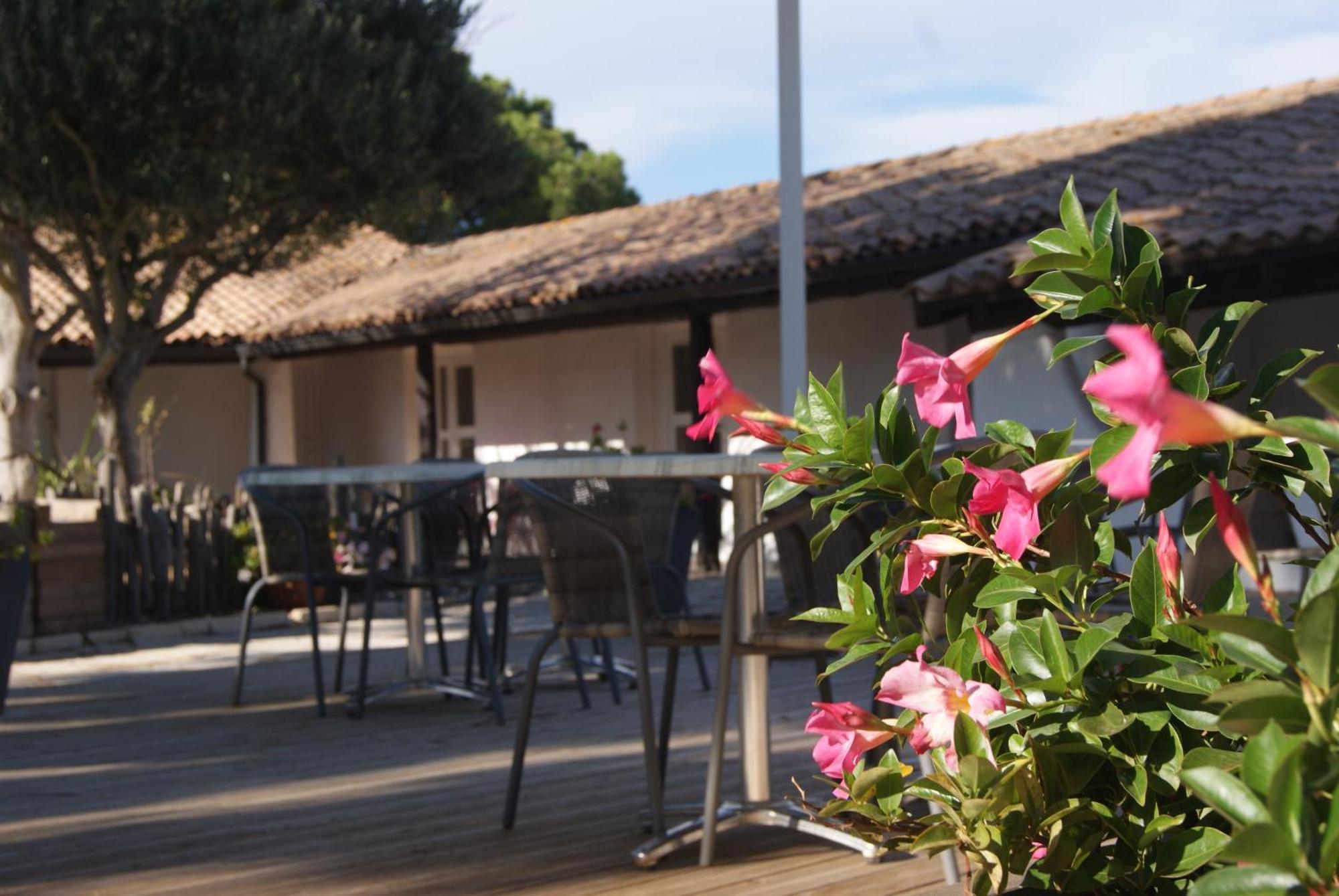 Hotel Les Rizieres Saintes-Maries-de-La-Mer Exterior foto